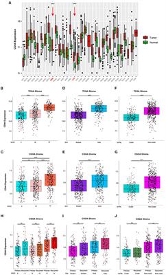 CD44-Mediated Poor Prognosis in Glioma Is Associated With M2-Polarization of Tumor-Associated Macrophages and Immunosuppression